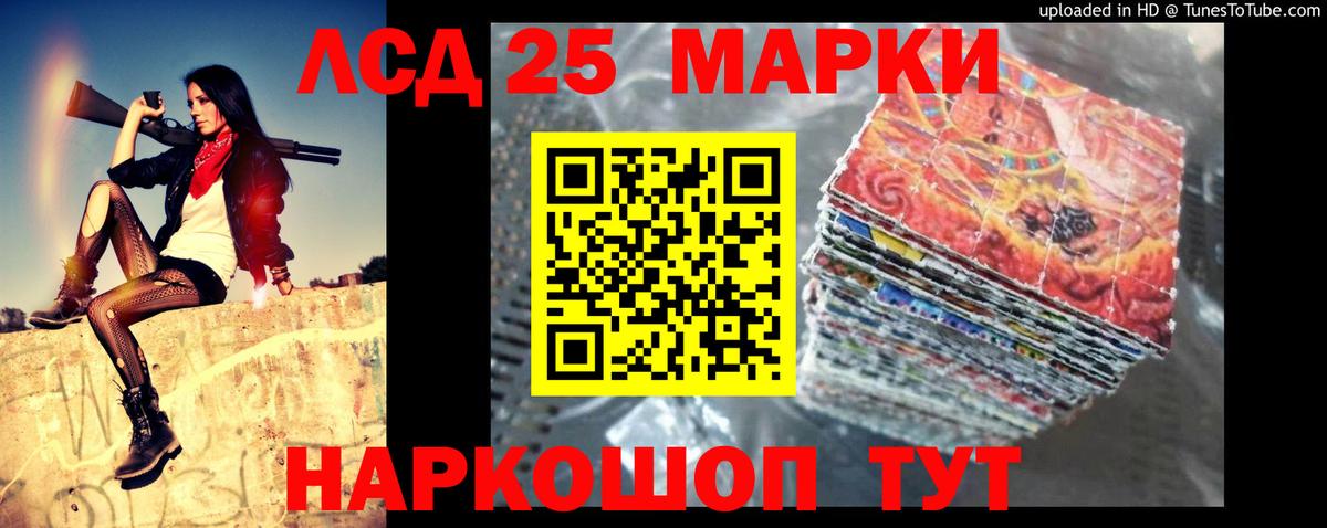 A PVP Гатчина