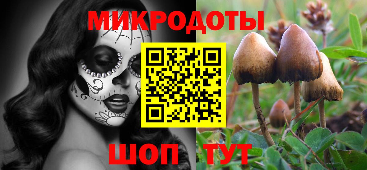 Псилоцибиновые грибы мицелий  Вход с VPN  купить  сайты  Гатчина 